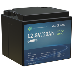 12,8 V 50 Ah lithium LFP-batterij